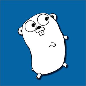 Programming with Google Go