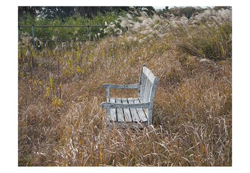 明信片 攝影 – 椅子 – 三張組 | W-5