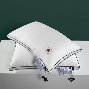 枕頭枕芯一對裝助睡眠酒店家用護頸椎枕單人雙人宿舍整頭男