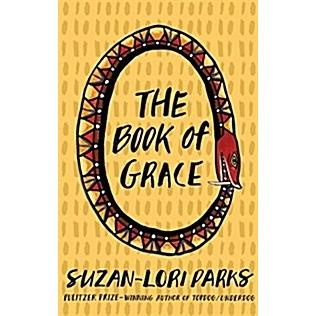 The Book of Grace (Paperback)