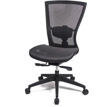 aaronation 愛倫國度 - 頂級高韌性全網電腦椅