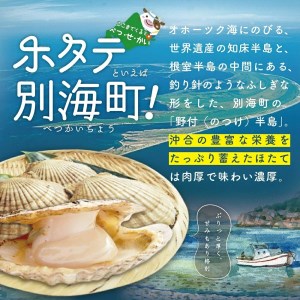  北海道 野付産 漁協直送 冷凍ホタテ 貝柱大粒ホタテ500ｇ be018-0055-100-4 （ ほたてホタテ 帆立 貝柱 玉冷 北海道 野付 別海町 人気 ふるさと納税 ）