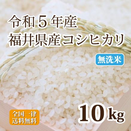 令和５年産 無洗米福井県産コシヒカリ 10kg 白米 安い ５kg×２ 単一原料米 送料無料