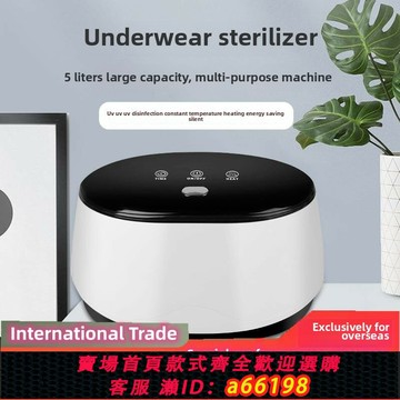 【台灣公司 可開發票】110V內衣消毒機家用小型紫外線除菌器眼鏡首飾衣物臭氧殺菌消毒柜