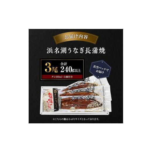 ふるさと納税 静岡県 湖西市 浜名湖産うなぎ　長蒲焼パック3枚入り