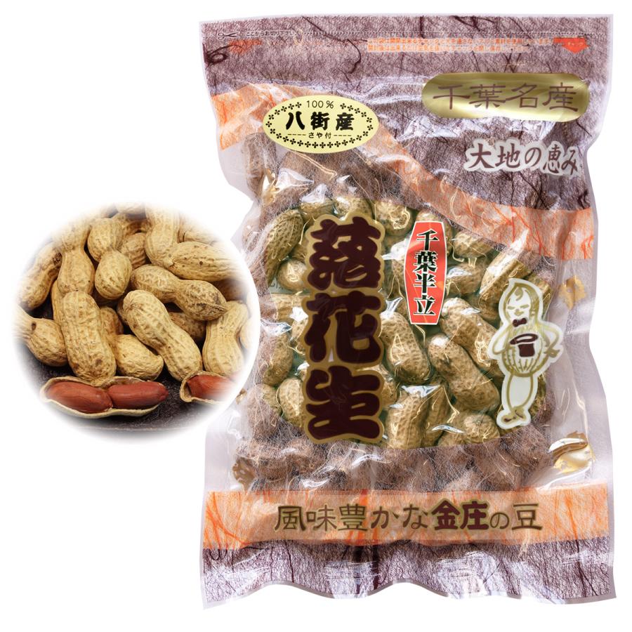 農家直送 千葉半立 生落花生700g - 野菜