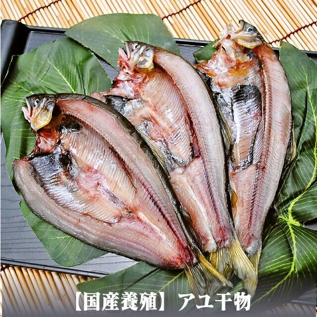 お歳暮 ギフト 干物 お取り寄せ グルメ プレゼント 贈答品  福袋 バーベキュー  おまかせ干物セット20000円  誕生日 送料無料 魚 食品