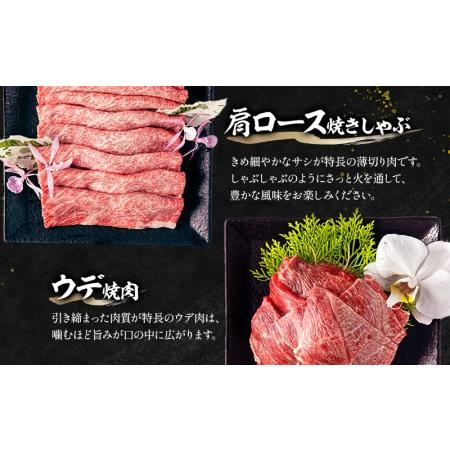 ふるさと納税 宮崎牛肩ロース焼きしゃぶ(300g) ウデ焼肉(400g)(計700g)　肉 牛 牛肉 宮崎県宮崎市