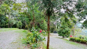 礁溪雲木之森露營區｜宜蘭縣礁溪鄉匏崙坡段