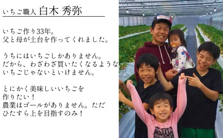 いちご職人　白木のいちご 「あまおう化粧箱」1箱と「旬のいちご化粧箱」2箱　3種食べ比べセット