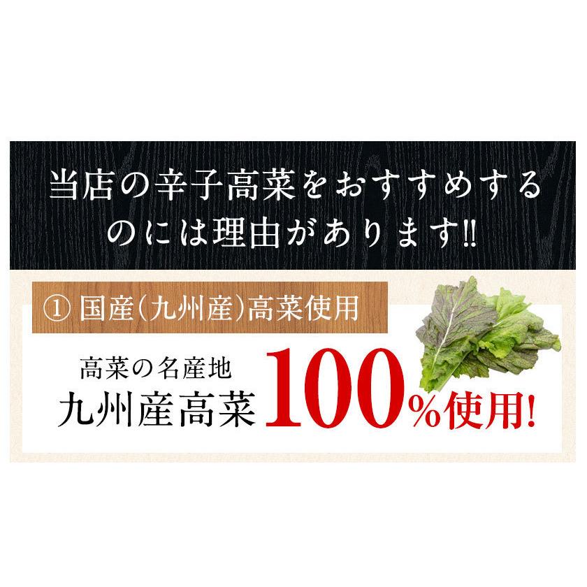 賞味期限2023年12月26日 辛子高菜 600g入(150g×4袋) 1000円 ポッキリ 送料無料 高菜漬け 小分け ご飯 お供 漬け物 1-5営業以内発送予定(土日祝除)