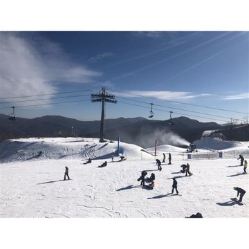 過年台中出發首爾~銀白雪境滑雪趣.暢玩樂天世界.鮮採草莓.安排鬧區飯店(一站購物)五日26ICN5D003