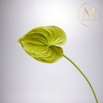 快速出貨🌷家居造景【Floral M】黛安娜心型火鶴綠天使仿真花花材（2入組）