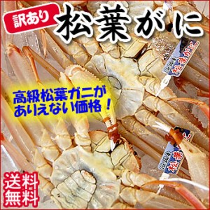 （送料無料）とれたて訳あり・松葉ガニ(生)　相場・大きさにより1-3枚入　[自家用・兵庫県浜坂産] 　　（松葉かに、松葉