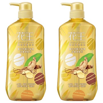 Kao 花王 植萃弱酸洗髮精 滋養健髮型 三大漢方精華 活絡頭皮 溫和綿密泡泡 深層清潔 清新草本香氣 放鬆身心  750ml  2瓶