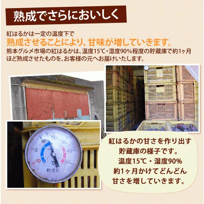 紅はるか 訳あり 箱込10kg 内容量9kg 補償分500g 送料無料 生芋 さつまいも  熊本県産 べにはるか サツマイモ  焼き芋に 芋 いも