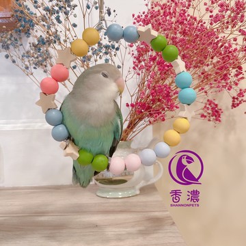 香濃❤(2款)花園馬卡龍圓形鞦韆 鸚鵡鞦韆用品 小型鸚鵡