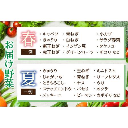 ふるさと納税 農家直送 旬の野菜セット 7品目以上 1箱 ／ 季節 野菜 ボックス BOX セット セレクト 農家 おまかせ 多品.. 福井県あわら市