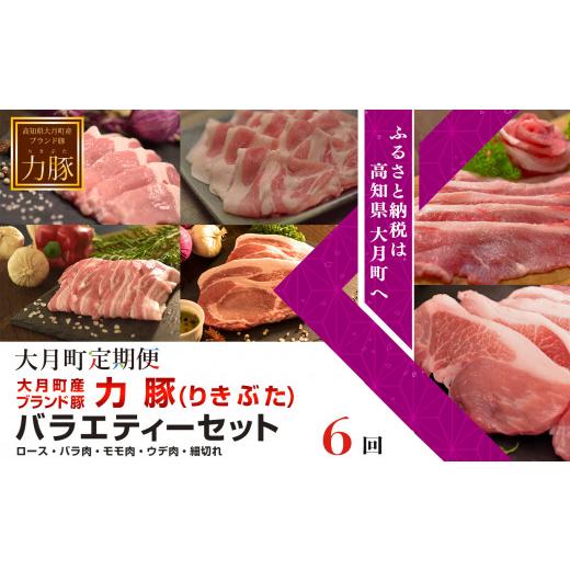 ふるさと納税 高知県 大月町 高知県大月町産ブランド豚　力豚バラエティーセット 計6回