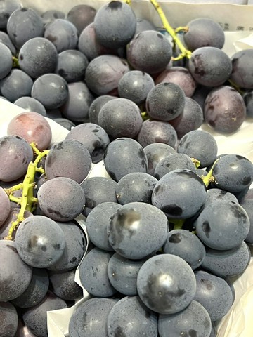 台灣精品溫室巨峰葡萄  8斤原裝箱