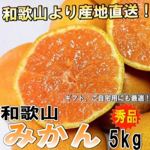 みかん みかん ミカン 和歌山県産 秀品 5kg  ギフト ご自宅用 お好みのサイズが選べる蜜柑 10月中旬以降より入荷あ