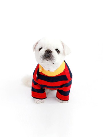 STRIPE NECK BUTTON T-SHIRT RED