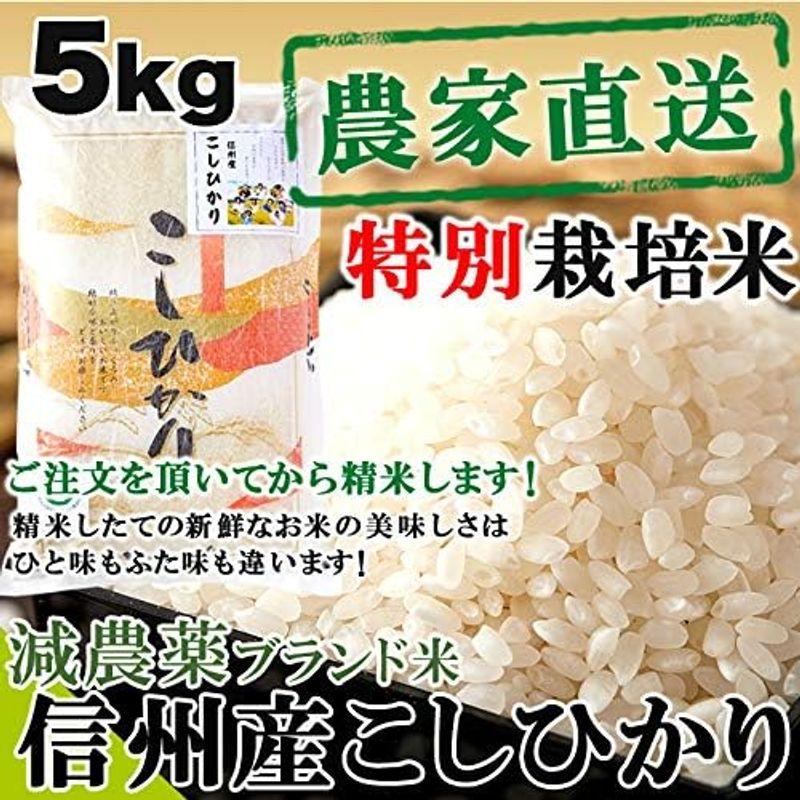 天然生活 受注精米信州産 減農薬 こしひかり 白米 コシヒカリ (5kg)