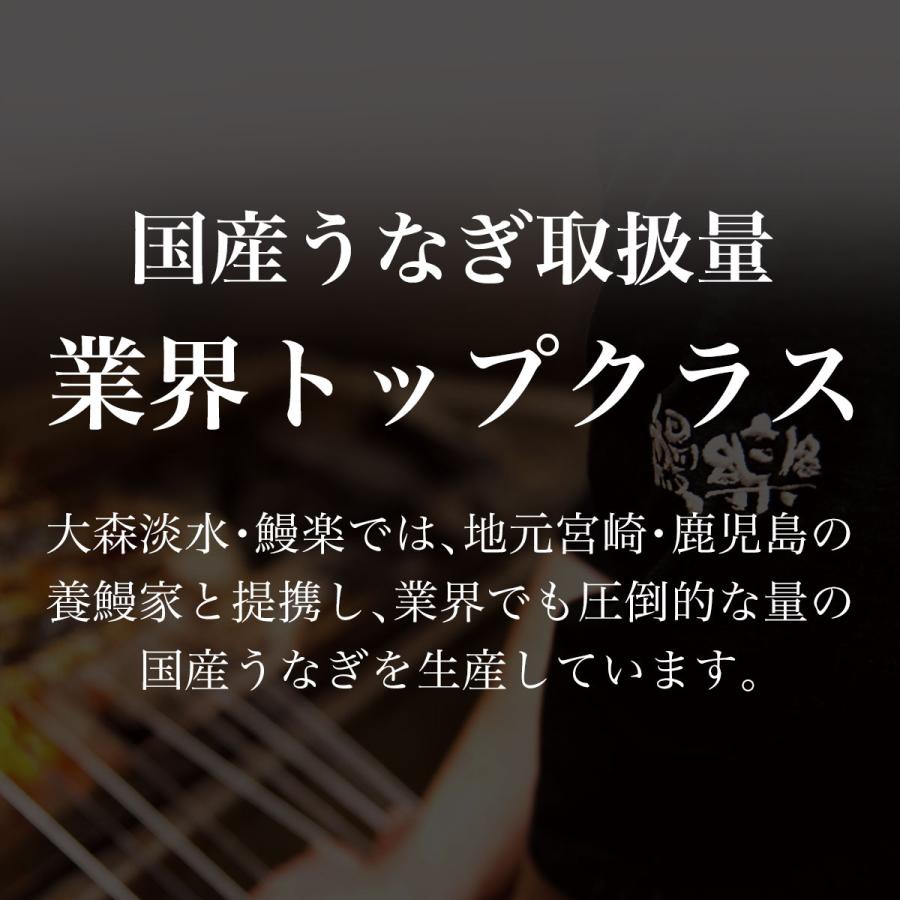 うなぎ お歳暮 プレゼント 鰻楽 国産 蒲焼 長焼5尾セット 鰻 ウナギ 蒲焼き 冷凍 真空パック 宮崎 鹿児島 食品 お取り寄せ グルメ ギフト 60代 70代 80代