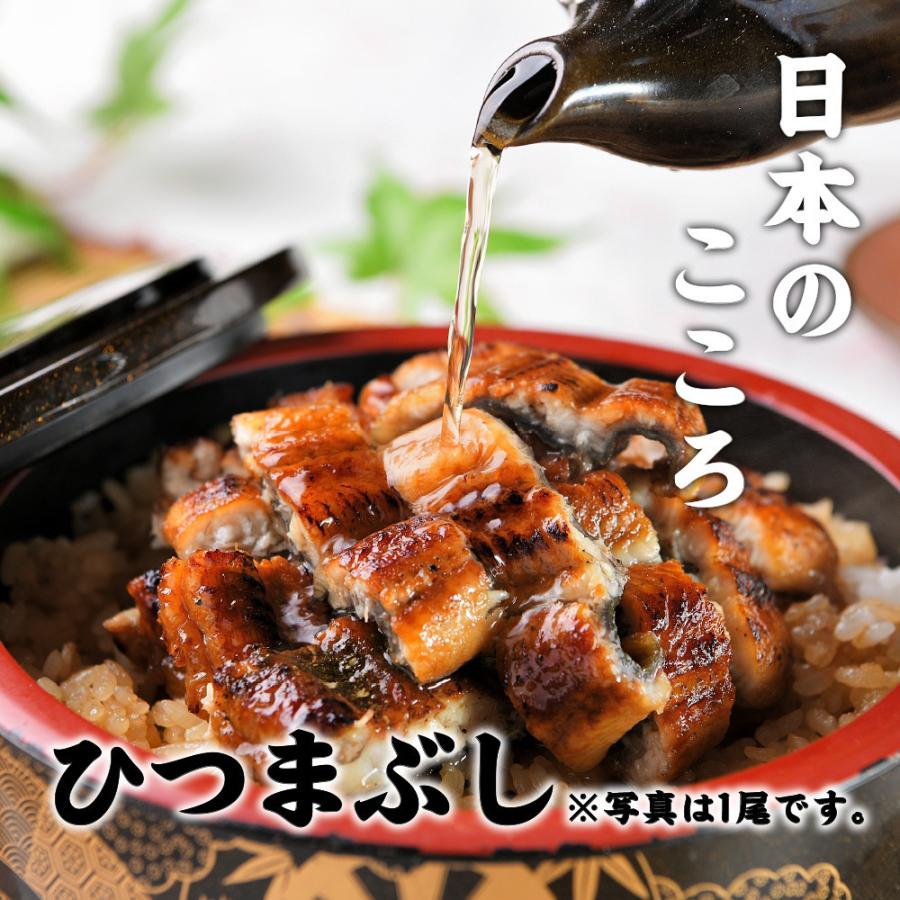 うなぎ 蒲焼き 5尾 鰻 特大