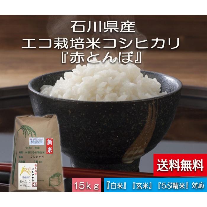 令和5年産 新米 加賀百万石 こしひかり エコ栽培米 石川県産 赤とんぼ