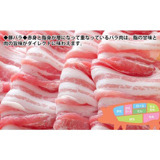 ふるさと納税 高知県 高知市 プレミアム焼肉セット約2kg 土佐和牛 牛肉 豚肉 肉詰め合わせ