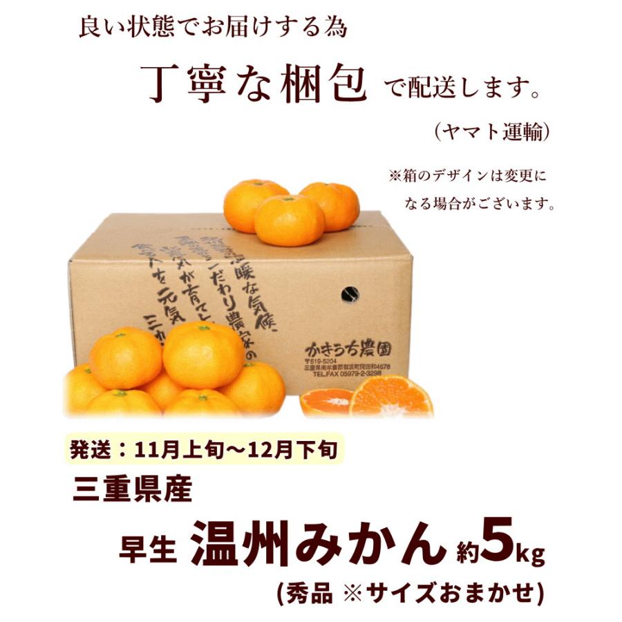 セール みかん 柑橘 三重県産 早生 温州みかん 5kg  かきうち農園 送料込