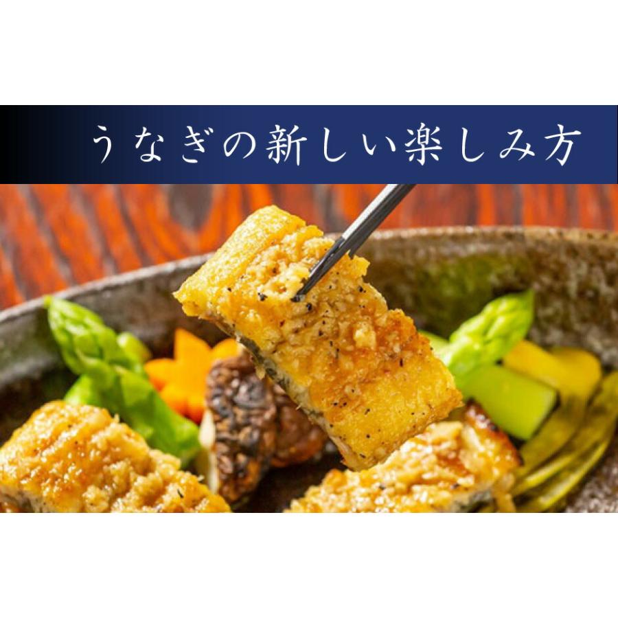 国産 うなぎの蒲焼・白焼二種の詰合せギフト うなぎの新甫