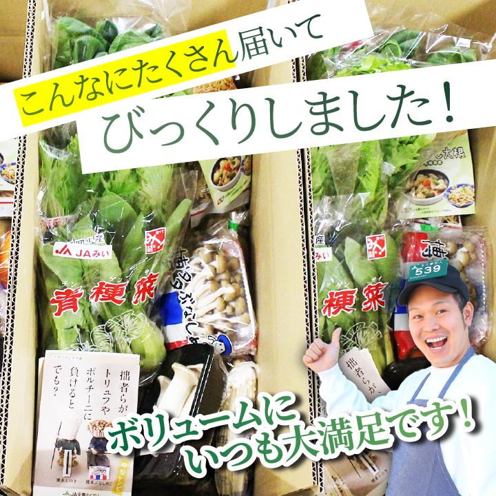 とびきりお得に野菜を買える！16品 野菜セット 国産 クール便 お試し 箱買い まとめ買い お取り寄せ