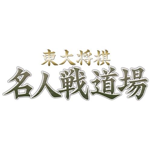 マイナビBEST 東大将棋名人戦道場 PSP(中古品)