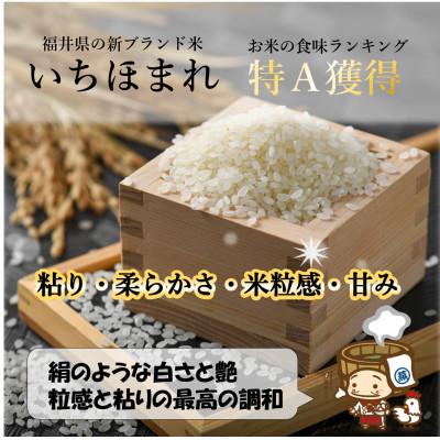 ふるさと納税 あわら市 いちほまれ 無洗米 5kg×2袋《お米マイスターが発送直前に精米!》