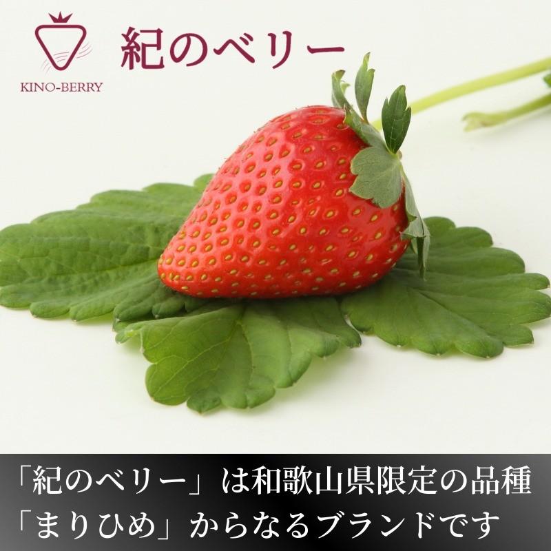 まりひめ ギフト用 400g×1箱 和歌山県産 いちご 紀のベリー
