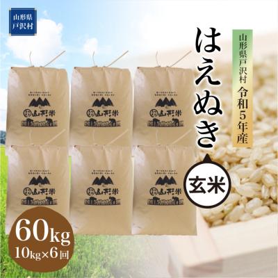 ふるさと納税 戸沢村 令和5年産 山形県戸沢村 はえぬき  60kg定期便 (10kg×6回)