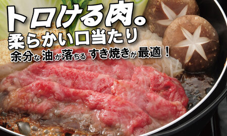 佐賀牛 A5 ランク保証！ 焼肉 しゃぶしゃぶすき焼き 厳選部位 合計800g（400g×各１P）C210-005