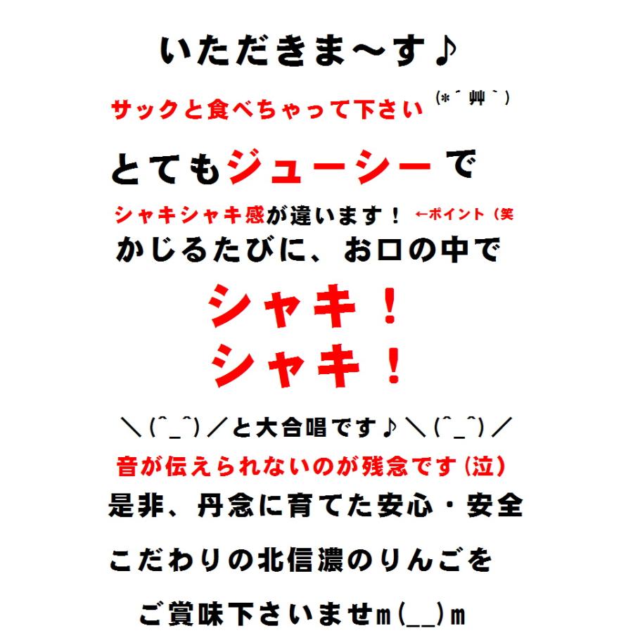 個数限定　長野 サンふじりんご大玉　限定１０ｋｇ　訳あり　こだわり信州産サンふじりんご　ご家庭用