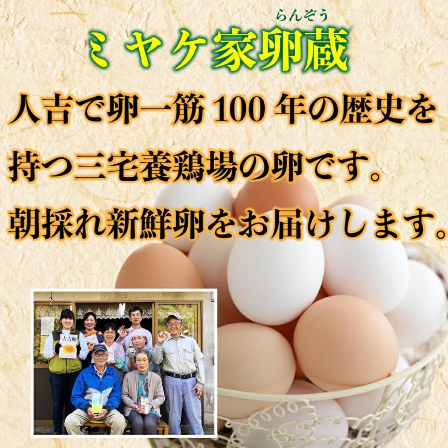 選べる 野菜とお米・牛乳・卵セット 新鮮野菜果物は12品以上 野菜詰め合わせ  卵 牛乳 お米 野菜セット 野菜詰め合わせ   詰合わせ 通販  九州