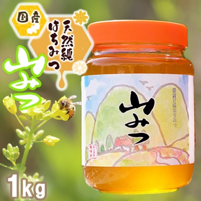 希少日本みつばち  生はちみつ  天然100%  非加熱！匿名配送！約1kg！