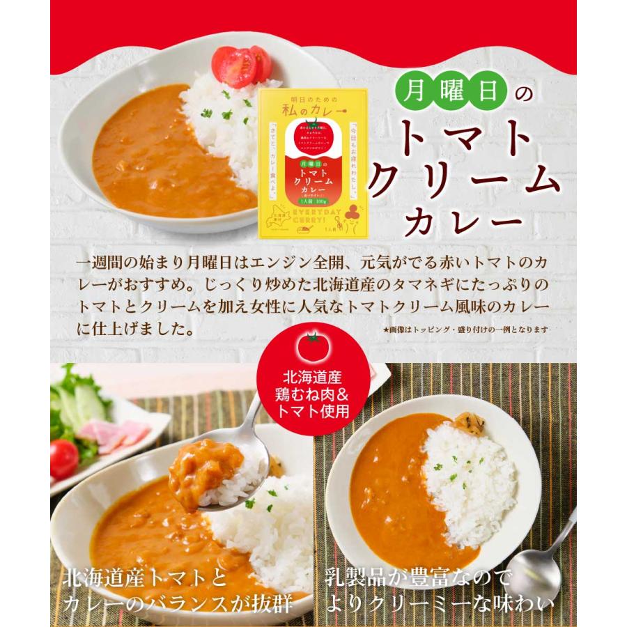 丸市岡田商店 明日のための私のカレー 100g 選べる2種セット メール便 送料無料 レトルトカレー ご当地 北海道産 お歳暮 御歳暮 クリスマス