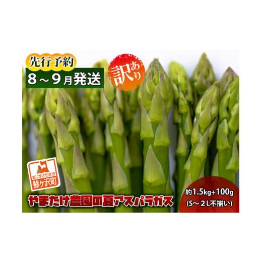 ふるさと納税 青森県 鰺ヶ沢町 やまたけ農園の夏アスパラガス！約1.5kg 100g（S〜2L不揃い）青森県鰺ヶ沢町産