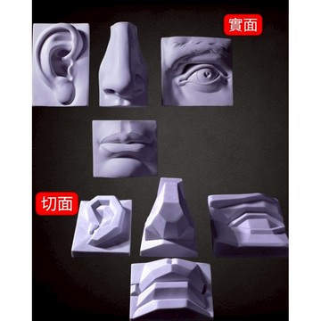 樹脂五官石膏像一套四個實面切面眼耳鼻嘴石膏美術繪畫教具不髒手石膏像