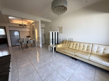 ⭐【欣】漢神巨蛋商圈三面採光景觀正三房｜高雄市左營區政德路