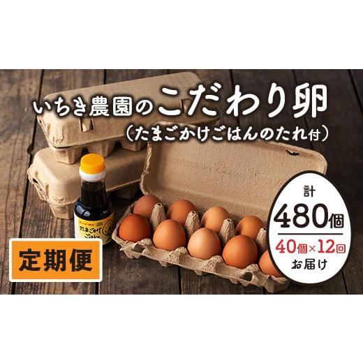 ふるさと納税 鹿児島県 伊佐市 isa529 いちき農園のこだわり卵(計480個・40個×12カ月)