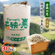 令和5年　福井県産　つきあかり(玄米30kg)若狭の恵のお米