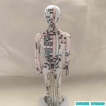 穴位人體模型人中醫十二經絡圖全身紮針經絡穴位小皮人模 UZGT