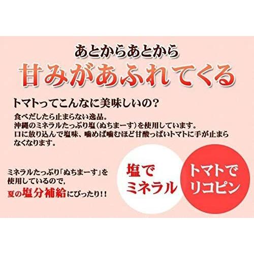 梅塩トマト 110g 沖縄の海塩 ぬちまーす使用 沖縄美健 ドライトマト 新食感 送料無料